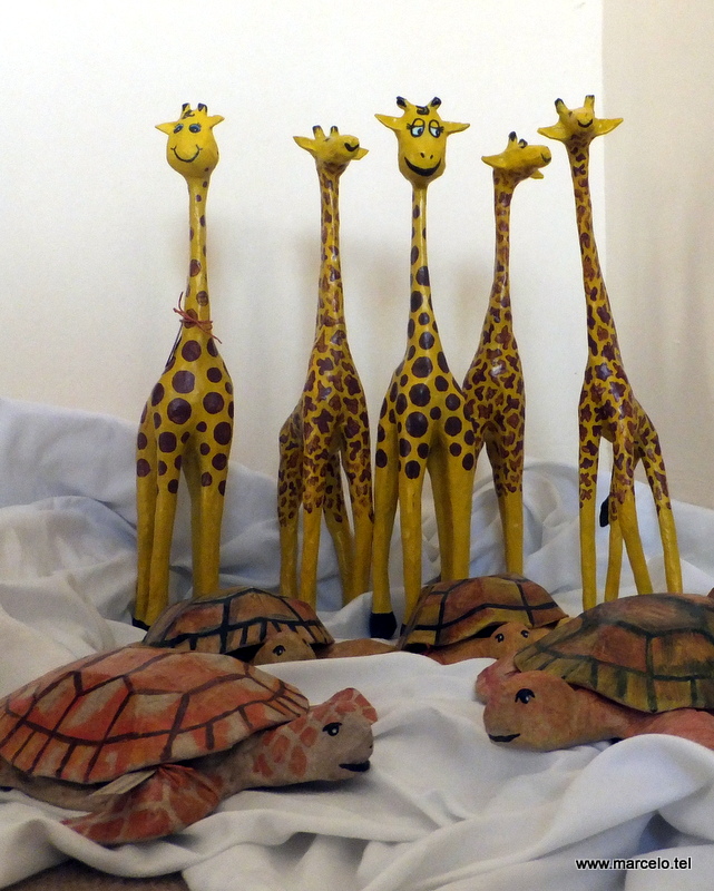 Girafas e tartarugas prontas para embarcar para a Suica